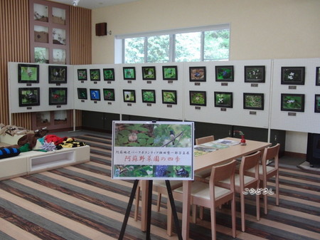 20150504-25CIMG1306_R.jpg
