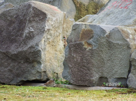 DSCF1838_R.jpg
