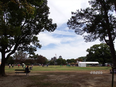 DSCF1863_R.jpg