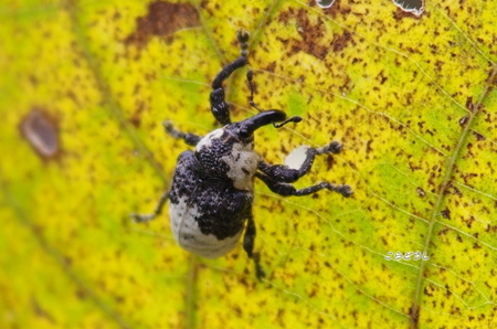 IMGP5298_R.jpg